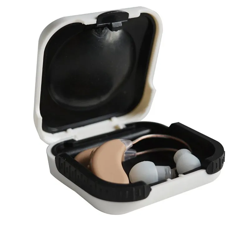 Paire d'amplificateurs rechargeable